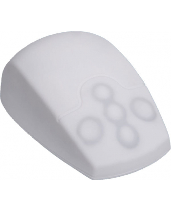 Inca Active Key AK-PMT2 (AKPMT2LBUSW)