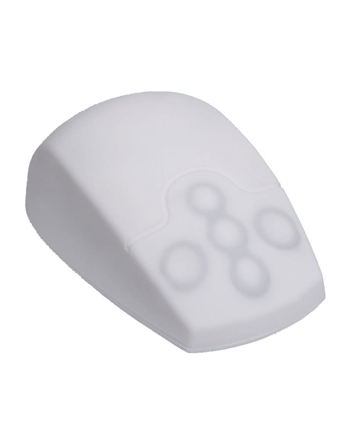 Inca Active Key AK-PMT2 (AKPMT2LBUSW) główny