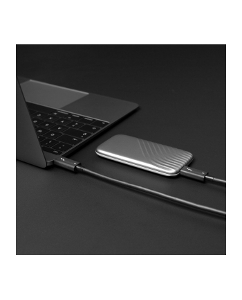 Lindy 31121 kabel Thunderbolt 2 m 40 Gbit/s Czarny nr 2