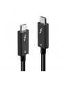 Lindy 31121 kabel Thunderbolt 2 m 40 Gbit/s Czarny - nr 6