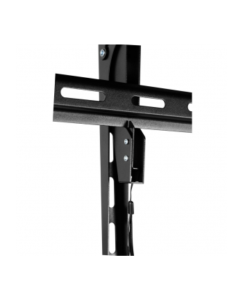 Uchwyt Techly (10) nr 2