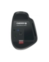 Cherry Stream (JW85702) - nr 15