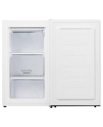 gorenje Zamrażarka F39EPW4