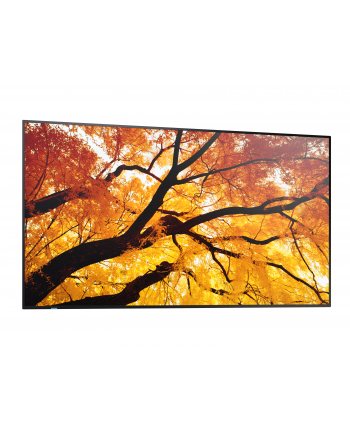 sharp Monitor wielkoformatowy MultiSync M432 43 cale 550cd/m2 24/7