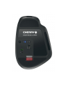 Cherry Stream (JW85702) - nr 17