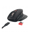 Cherry Stream (JW85702) - nr 38