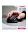 Cherry Stream (JW85702) - nr 39