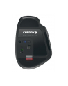 Cherry Stream (JW85702) - nr 3