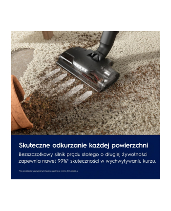 electrolux Odkurzacz pionowy Animal 800 EP82AB25UG