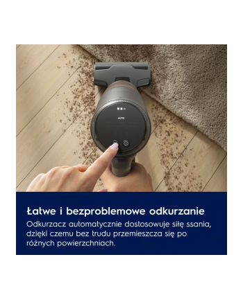 electrolux Odkurzacz pionowy Animal 800 EP82AB25UG