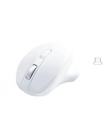 matias Mysz bezprzewodowa - Wireless USB-C Pro Mouse White nr 1