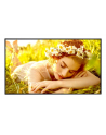 lg electronics Monitor wielkoformatowy 75UL5Q-E 500cd/m2 UHD 24/7 - nr 1