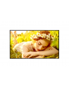 lg electronics Monitor wielkoformatowy 75UL5Q-E 500cd/m2 UHD 24/7 - nr 24