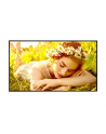 lg electronics Monitor wielkoformatowy 75UL5Q-E 500cd/m2 UHD 24/7 - nr 39