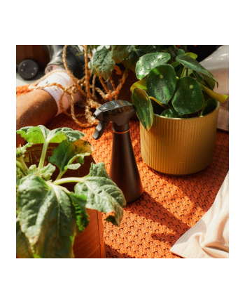 fiskars Opryskiwacz do nawilżania i czyszczenia Plant Care 1071306 nr 1