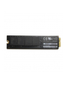 Coreparts MS-SSD-256GB-STICK-01 256GB SSD for Apple (MSSSD256GBSTICK01) - nr 1
