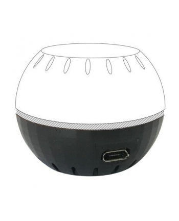 Shelly H&T Adapter Usb Czarny (3800235266014)