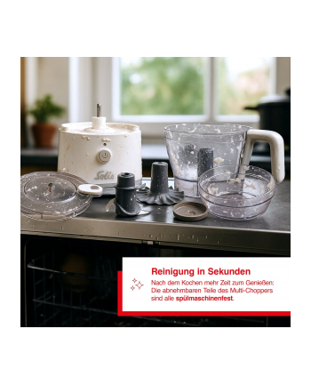 Solis Multi Chopper Typ 8330 nr 1