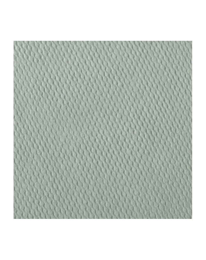 Hama  Fine Art  Spiral Salbei 36x32 50 białye Seiten    9868 główny