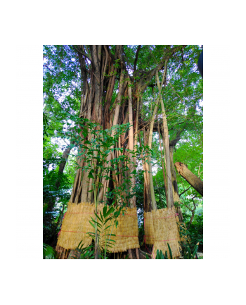 Yashica FX-D 300 nr 1