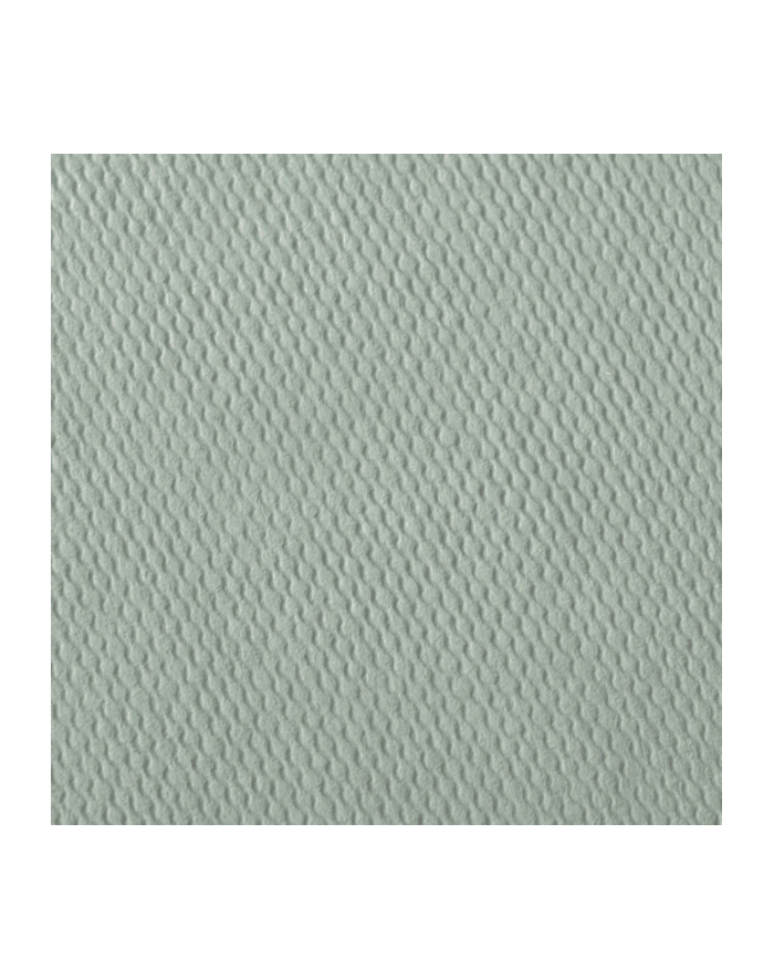 Hama  Fine Art  Spiral Salbei 24x17 50 czarnye Seiten    9869 główny