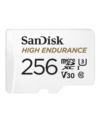 SanDisk High Endurance     256GB microSDXC     SDSQQNR-256G-GN6IA