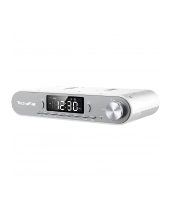 Technisat Viola srebrny