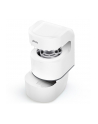 Alecto Lampa owadobójcza - nr 6