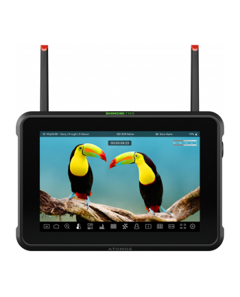 Atomos Shinobi 7RX