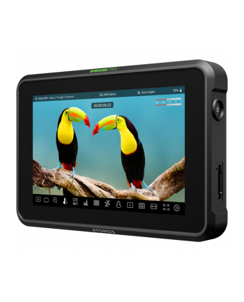 Atomos Shinobi 7RX