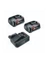 Bosch Starter-Set 18V 2x 2,5AH Akku + Ladegerät - nr 1