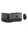 Conceptronic ORAZIO02US Ergnomische Tastatur- und Mysz - nr 8
