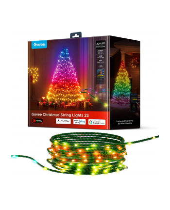 Govee String Lights 2S 20m