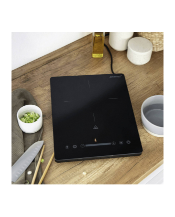 Steba IK 35 Induction Cooker