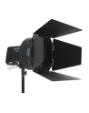 Amaran Fresnel dla Ray - nr 22