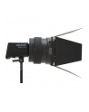 Amaran Fresnel dla Ray - nr 6