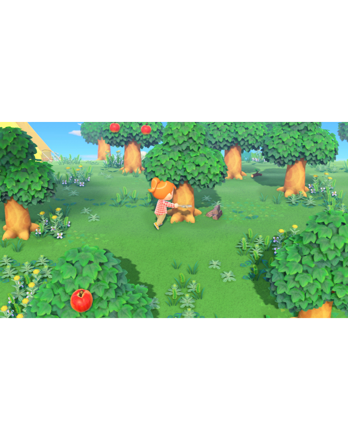 Nintendo Animal Crossing: New Horizons Switch 2 główny