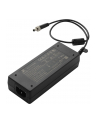 Amaran Ray 60c - nr 31