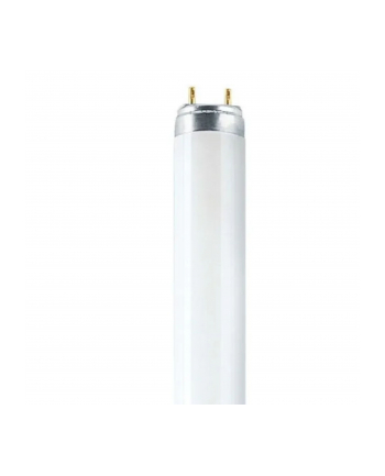 Osram Leuchtstoffröhre L T8 36W/840 G13 97 cm nr 2