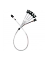 silverstone technology SilverStone adapter cable SST-CPS05-RE, mini-SAS SFF 8643 > 4x SATA light blue, 60cm - nr 1