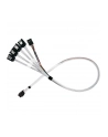 silverstone technology SilverStone adapter cable SST-CPS05-RE, mini-SAS SFF 8643 > 4x SATA light blue, 60cm - nr 2