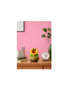 Nintendo Plauderblume - nr 12