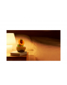 Nintendo Plauderblume - nr 13