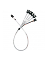 silverstone technology SilverStone adapter cable SST-CPS05-RE, mini-SAS SFF 8643 > 4x SATA light blue, 60cm - nr 1