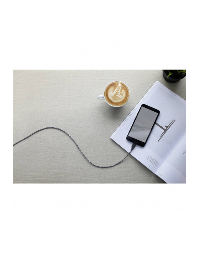 Native Union Belt Cable USB-A to USB-C 1.2m Zebra główny