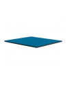 Thermal Grizzly Minus Pad Advance - 100x100x2.0 mm, thermal pads pack of 2 - nr 17