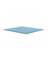 Thermal Grizzly Minus Pad Pro - 100x100x1.0mm - nr 8