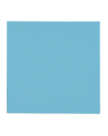 Thermal Grizzly Minus Pad Pro - 100x100x1.5mm - nr 13