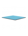 Thermal Grizzly Minus Pad Pro - 100x100x1.5mm - nr 4