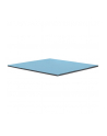 Thermal Grizzly Minus Pad Pro - 100x100x1.5mm - nr 8